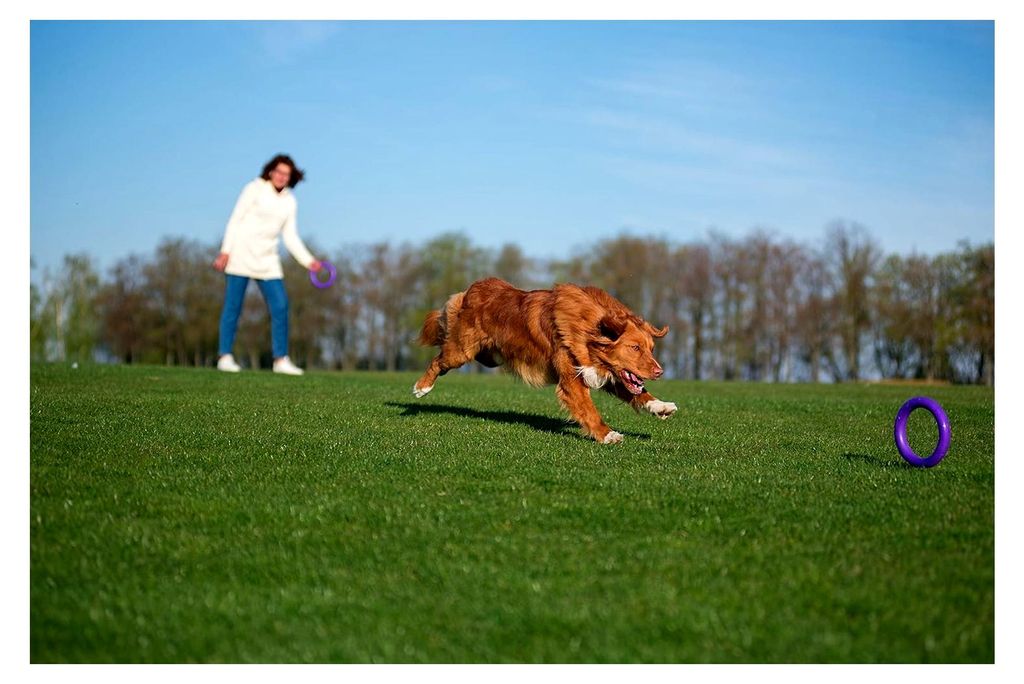PULLER Midi Interaktives Hundespielzeug Fitness-Tool-Set