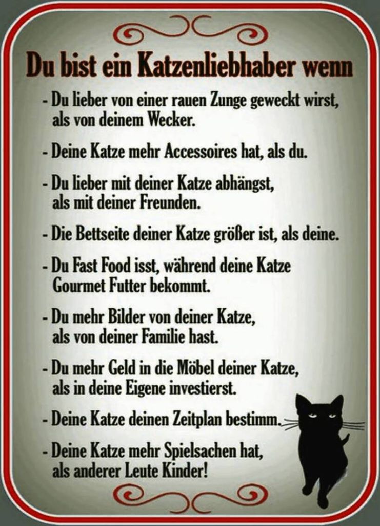 vianmo Holzschild 40x30 cm du bist Katzenliebhaber wenn