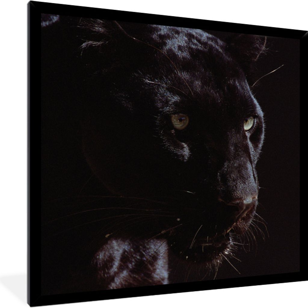 MuchoWow Gerahmtes Poster Panther - Tier - Schwarz 40x40 cm - Poster mit Schwarzem Bilderrahmen Wandposter Rahmen Foto Bilder - Mit Rahmen - Wand...