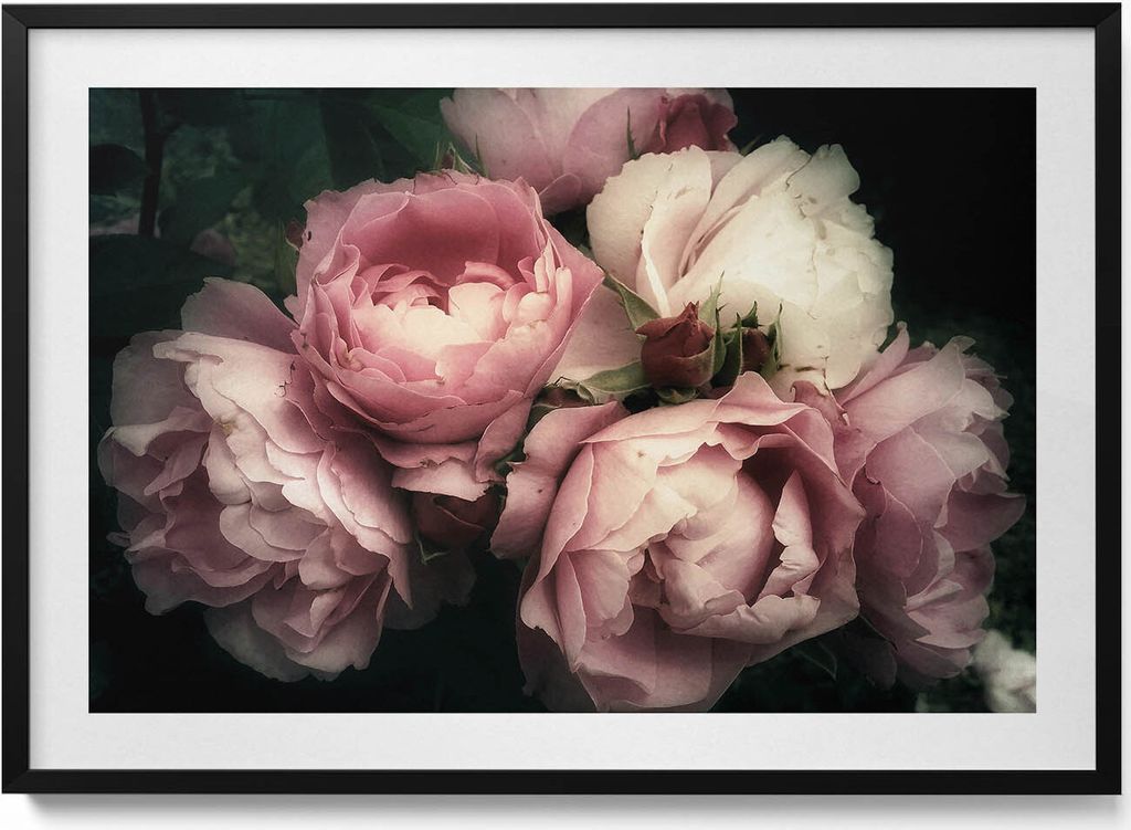 Blumenstrauß aus rosa Vintage-Rosen– Wandbild mit Rahmen – Gerahmtes Bild – Wanddekoration – 100x70 cm – Schwarz Rahmen