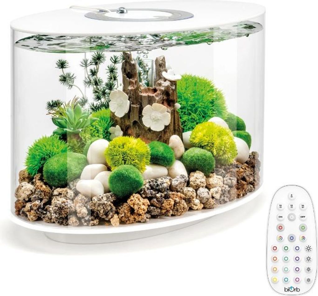 Längliches aquarium 15l, weiße konturen Oase LOOP 15 MCR WHITE