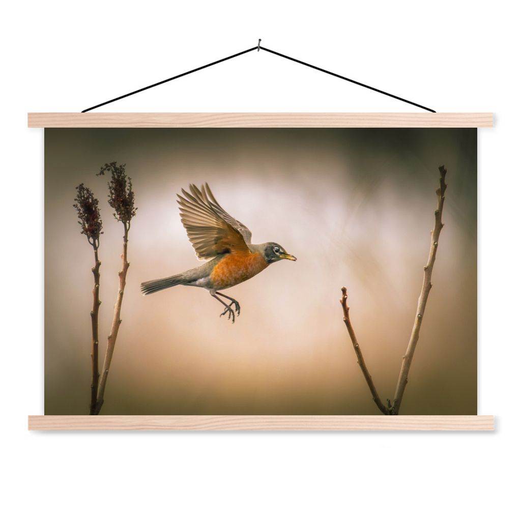 MuchoWow Textilposter Rotkehlchen - Flügel - Natur 60x40 cm mit holzfarbenen Rahmen - Bilder