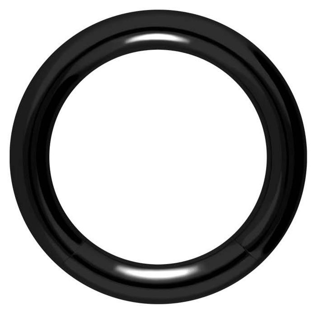 Intim-Piercing, Septum Piercing Chirurgenstahl Segmentring Schwarz Innendurchmesser: 12mm + Stabstärke: 2,5mm