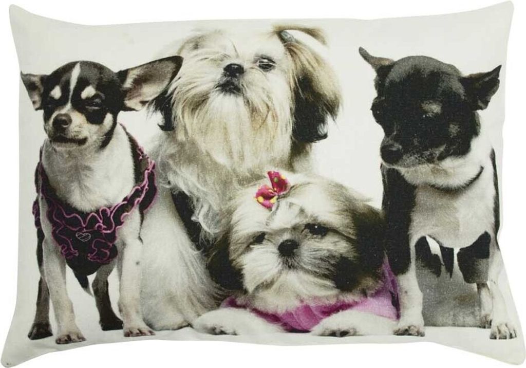 Mars & More Kissen Kissenbezug Chihuahua Hunde 35x50 cm mit Füllung Fotokissen
