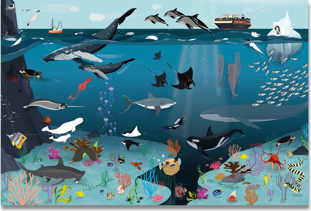 Unterwasserwelt für Kinder 170 gr. matt Papier 91,5 x 61 cm