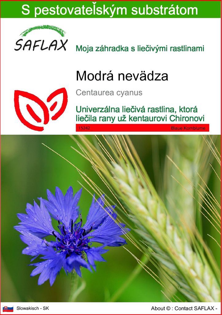 SAFLAX - Modrá nevädza - Centaurea cyanus - 27000 Semená - Obrázok produktu 