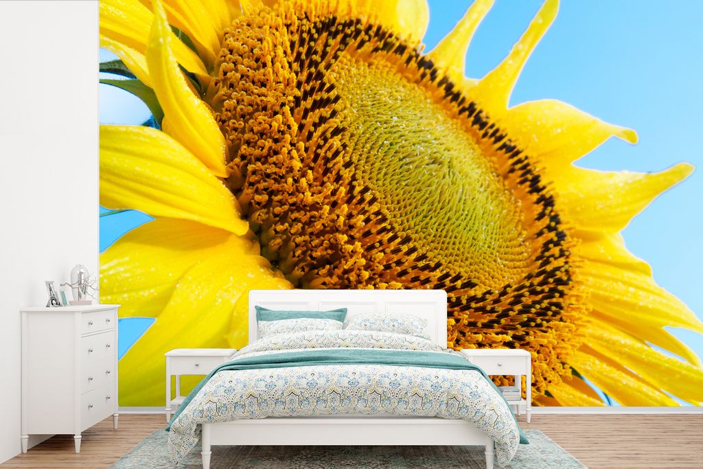 MuchoWow Fototapete für Wohnzimmer oder Schlafzimmer Wandtapete Vinyl Motivtapete Sonnenblume - Saatgut - Sommer - 420x280 cm - Zimmer für Kinder