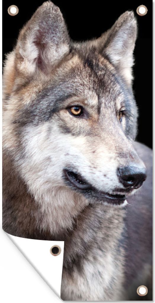 MuchoWow 80x160 cm Outdoor-Poster Gartendeko Sichtschutz Garten Poster für den Garten Grauer Wildwolf