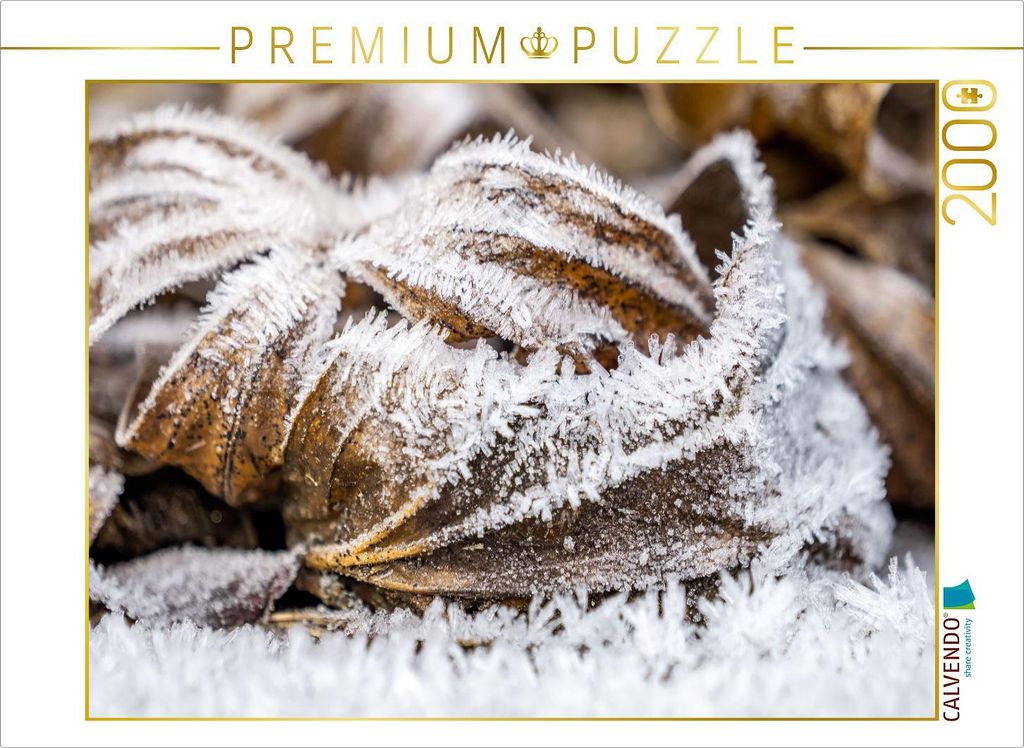 CALVENDO Puzzle Raureif am Morgen 2000 Teile Puzzle quer | 2000 Teile Lege-Größe 90x67cm Foto-Puzzle für glückliche Stunden