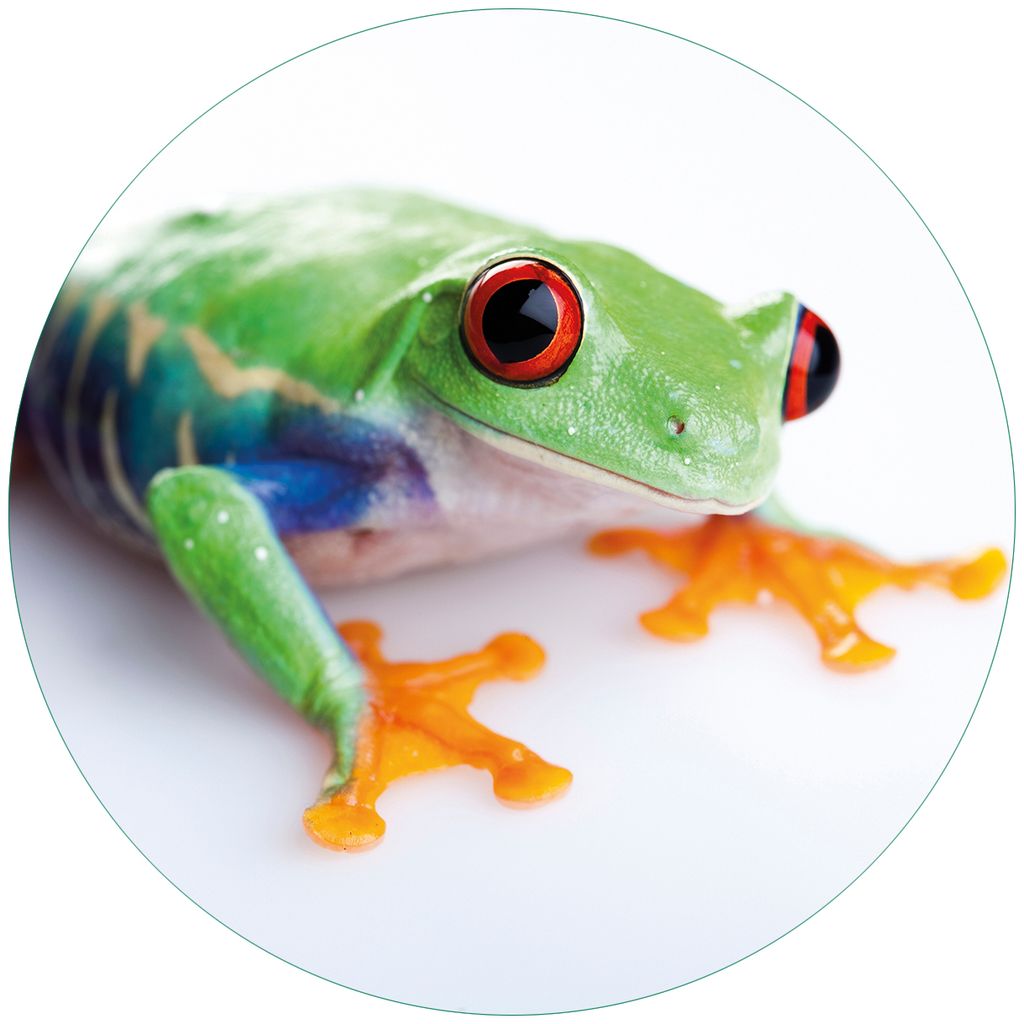Wallario Premium Glasbild, freischwebende Optik, kräftige Produktbild 