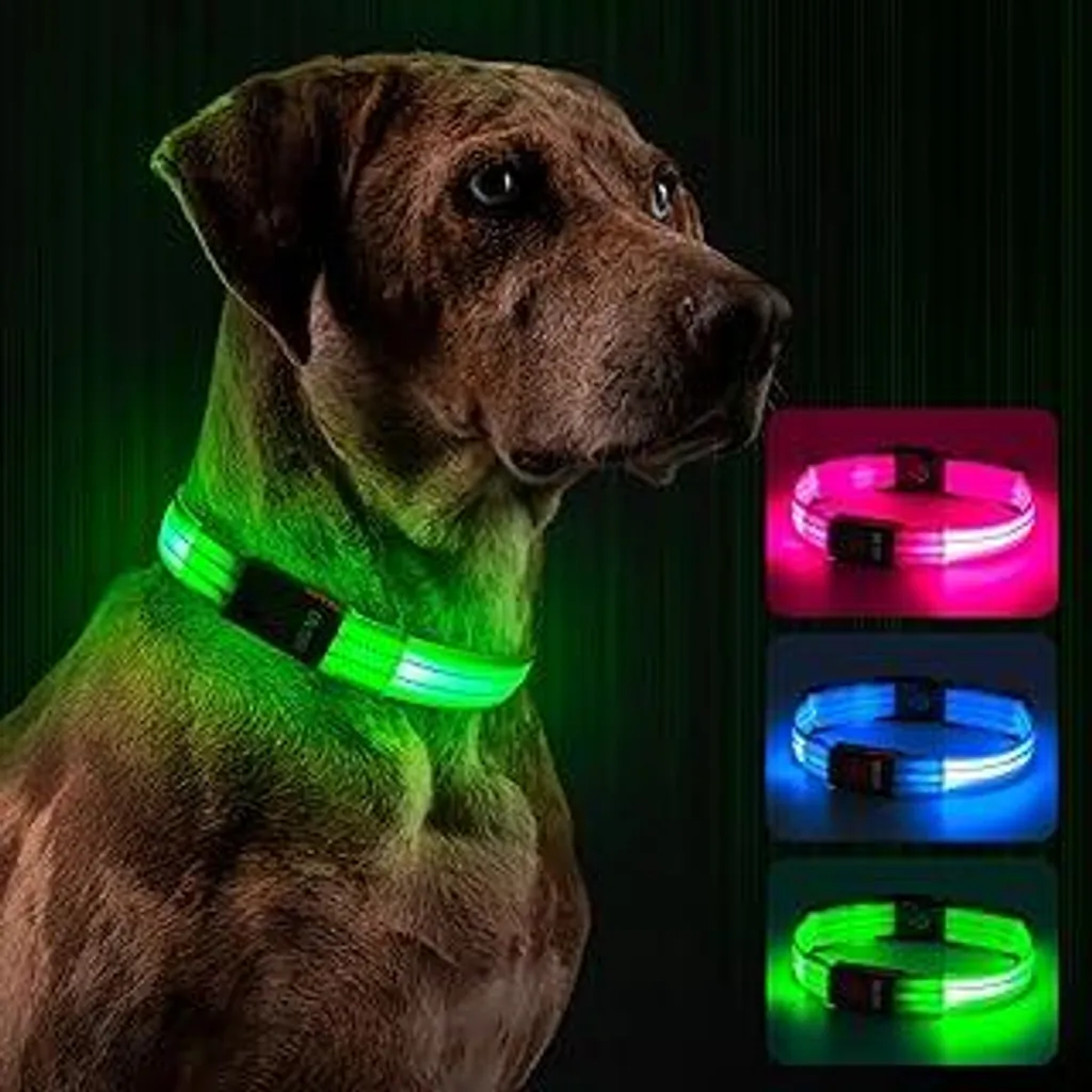 Collare Luminoso Cani LED Ricaricabile USB - Alta Visibilità Notturna