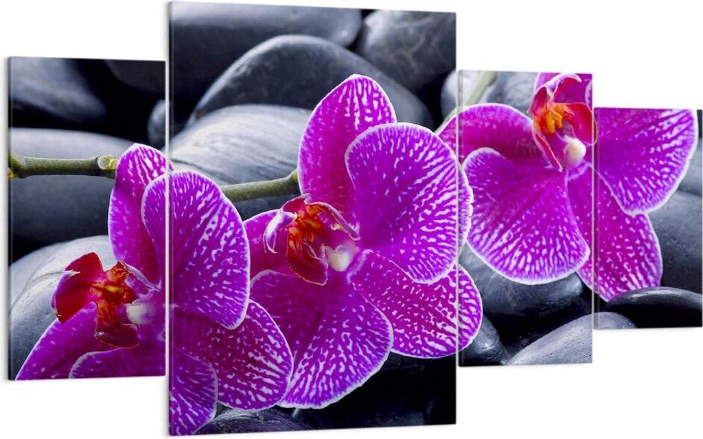 Bild auf Leinwand - Leinwandbild - Blumen Steine Violett Produktbild 