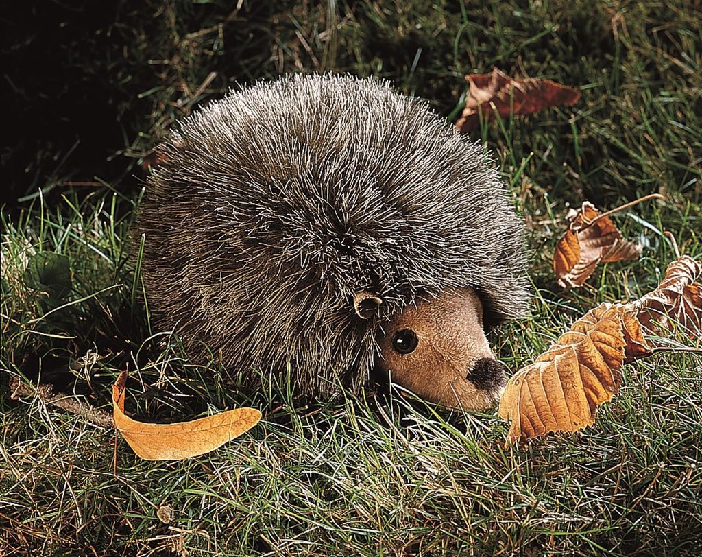 Kösen Igel Linus 18 cm Kuscheltier