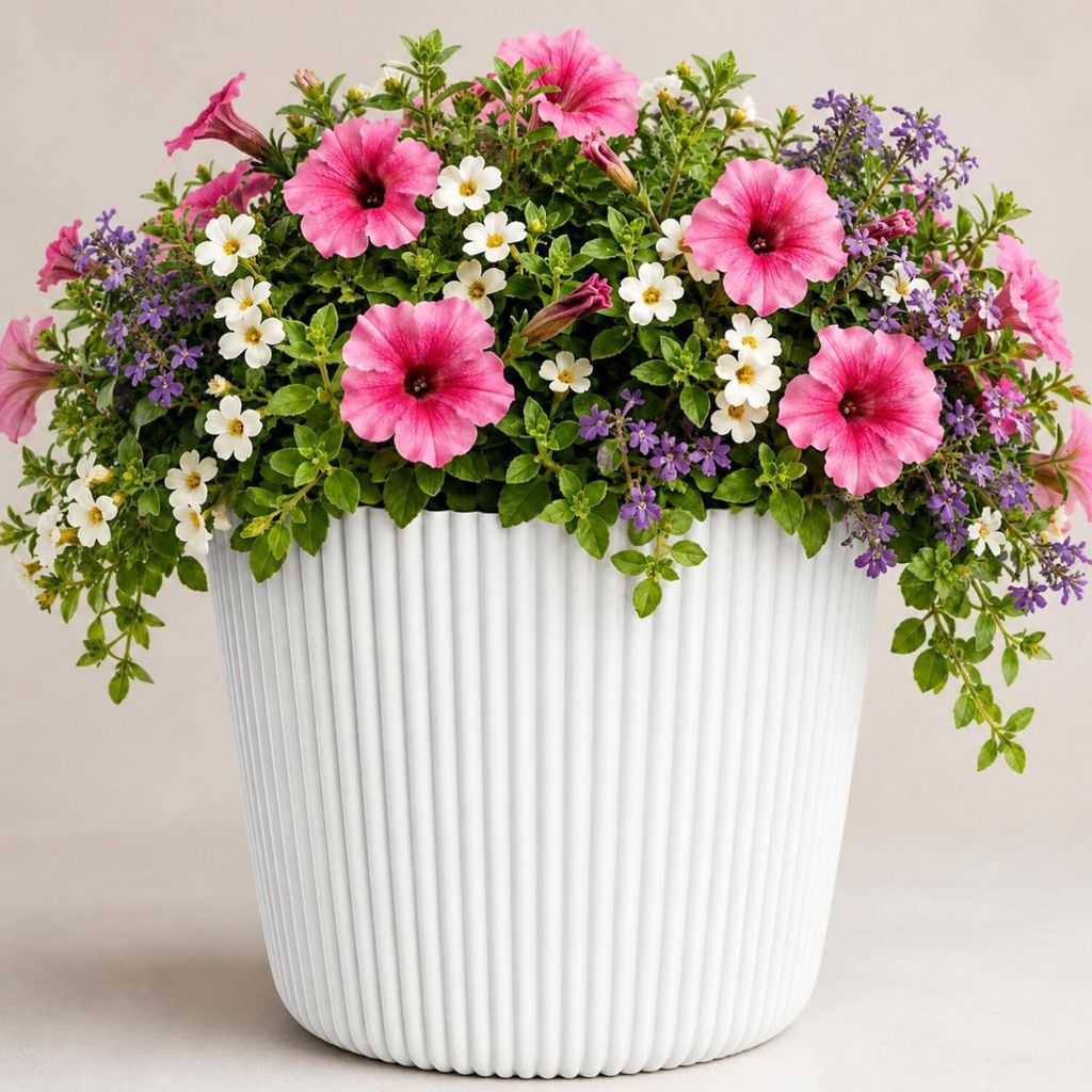 Prosperplast Pflanztopf Buckingham - elfenbeinweis - D23 cm Produktbild 