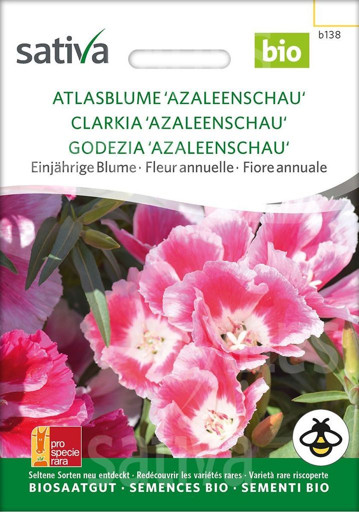 Atlasblume Azaleenschau | Azaleensamen von Sativa Rheinau