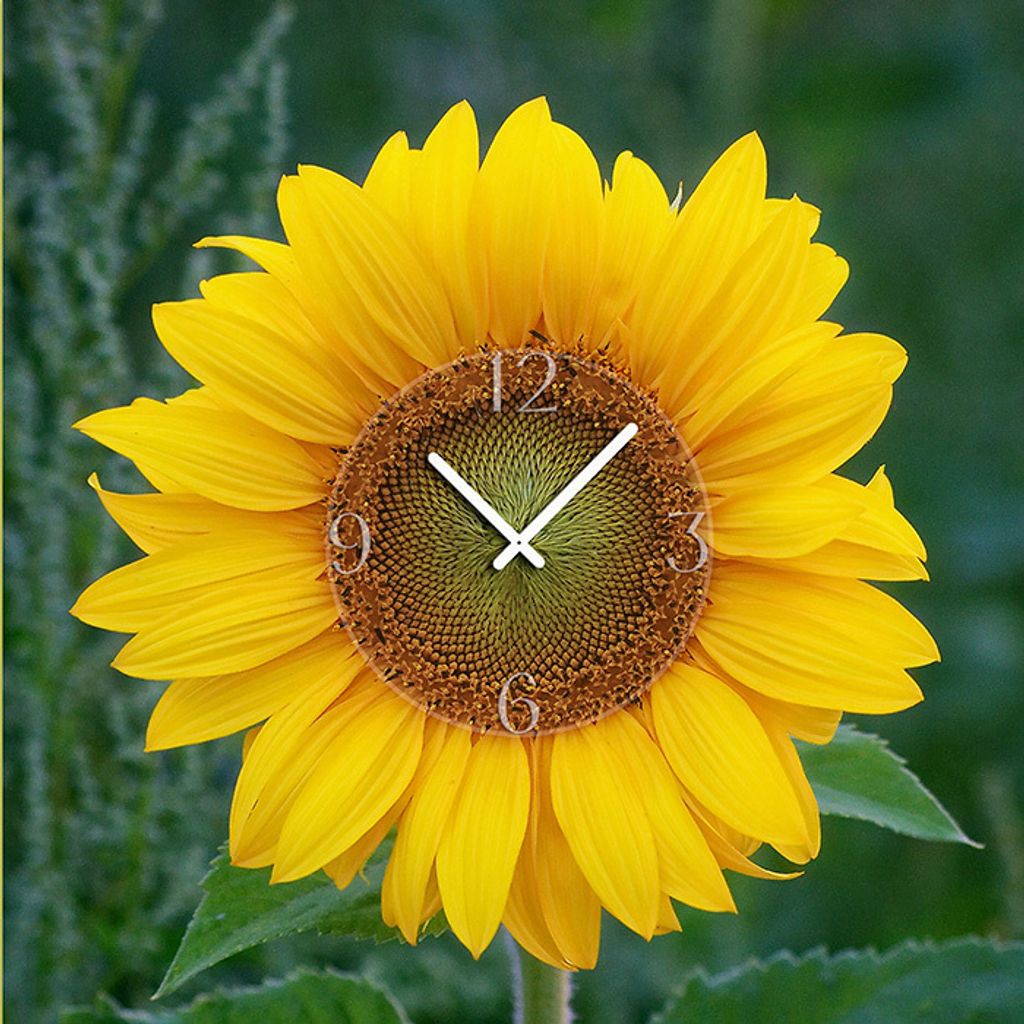 6040 Dixtime Designer Wanduhr, Wanduhren, Moderne Bürouhr 30cm x 30cm