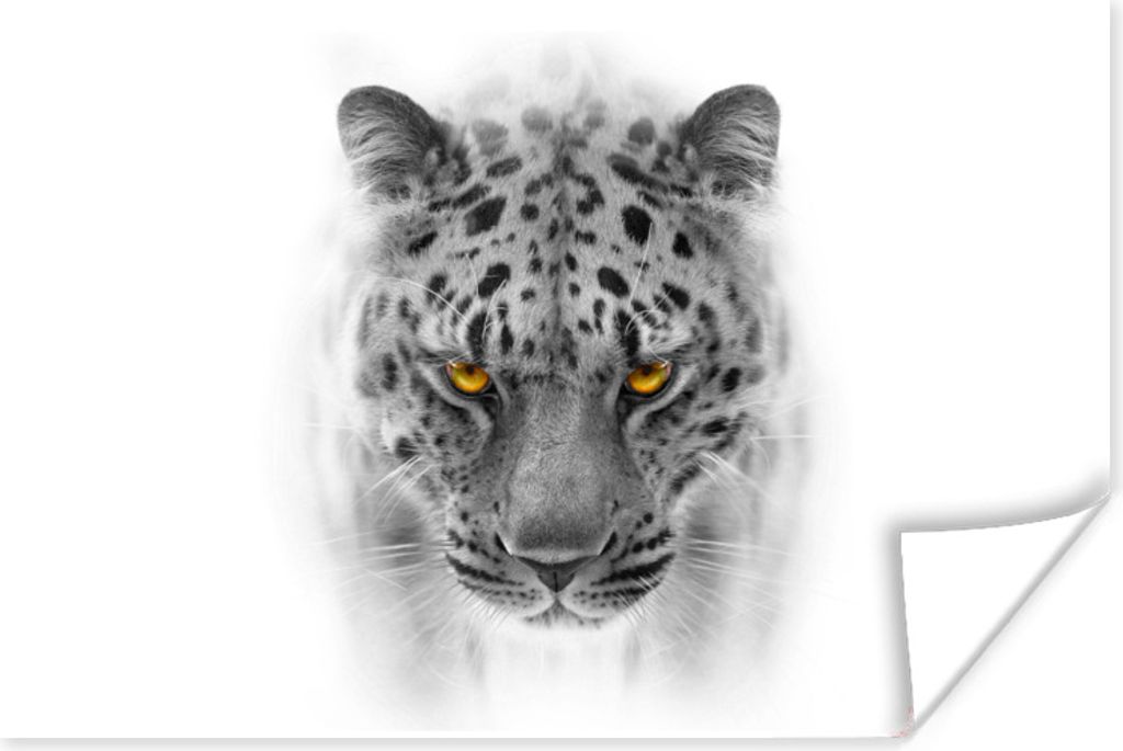 MuchoWow Poster Leopard - Schwarz - Weiß - Kopf 30x20 cm - Plakate - Print