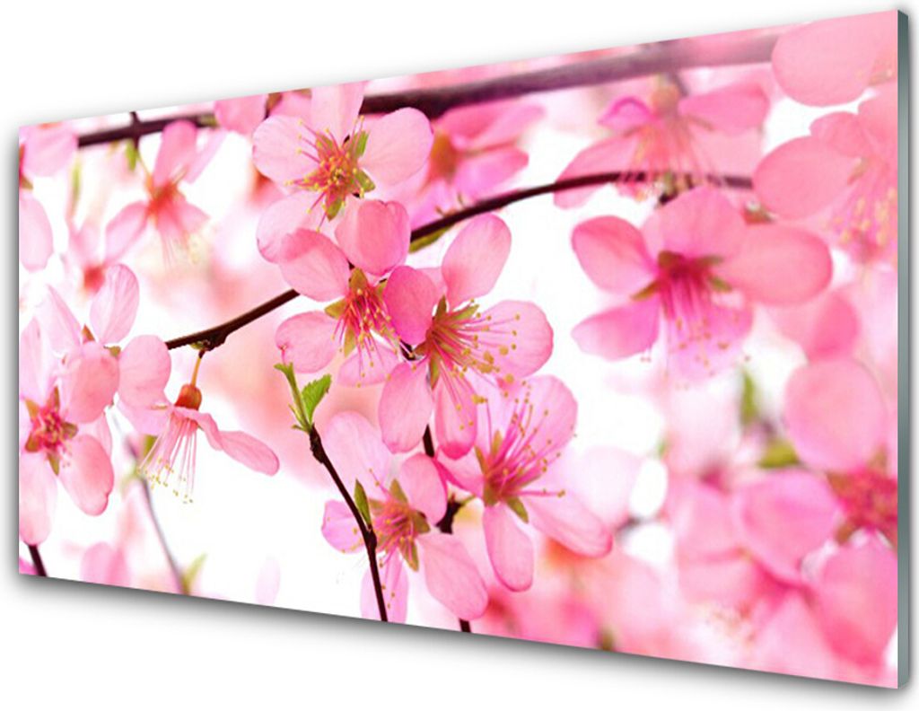 Küchenrückwand aus Glas 100x50cm Spritzschutz Blumen Pflanzen