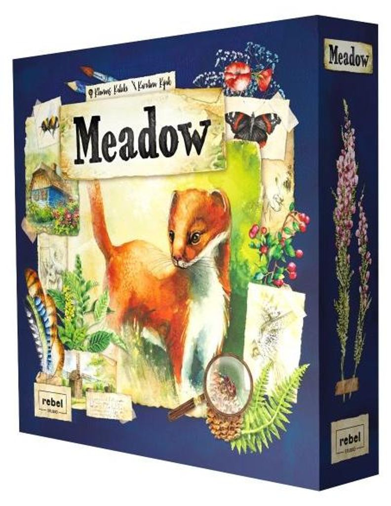 Meadow – Ein Spiel rund um Strategie und Naturbeobachtung (RO)