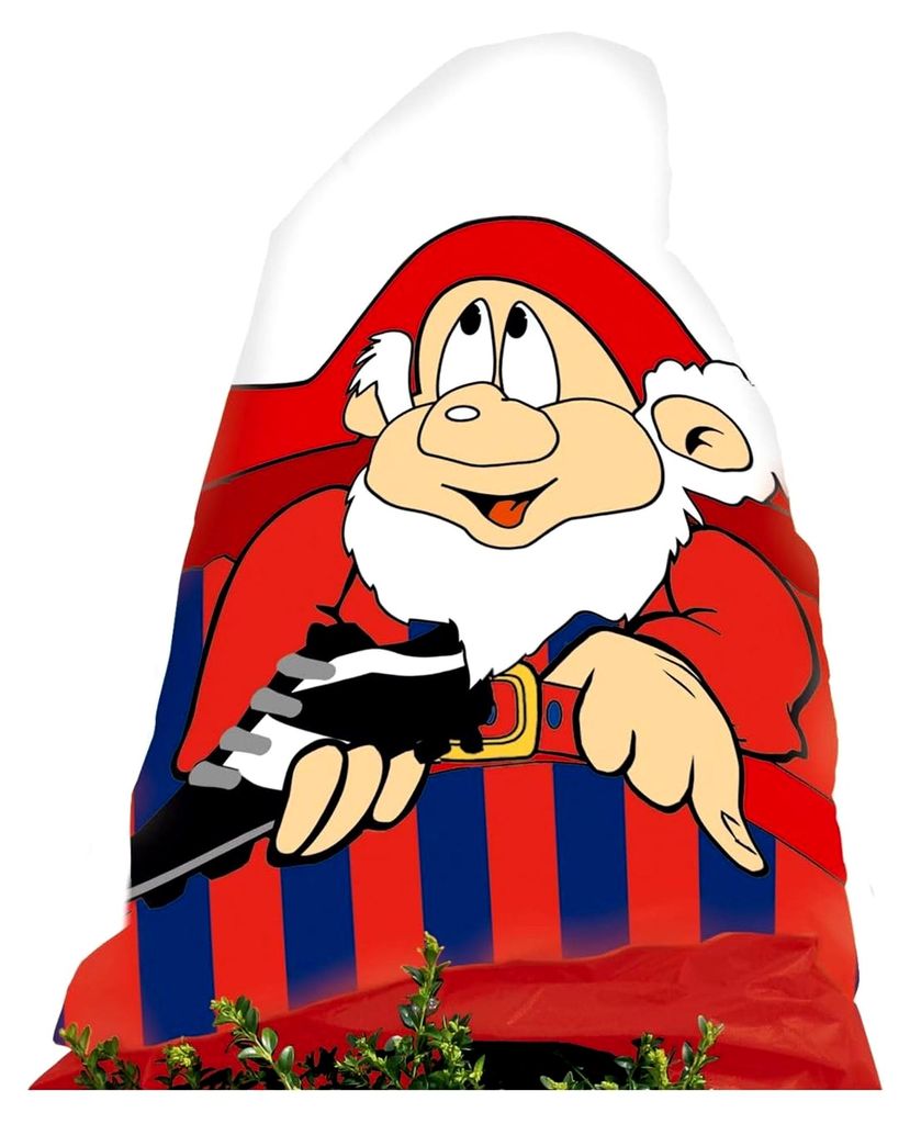 Vlieshaube Fan rot/blau, 110 x 150 cm, 50 g/qm Winterschutz für Pflanzen/Fanartikel Fußball aus Garten-Vlies/Kübelpflanzensack Frostschutz/Garte...