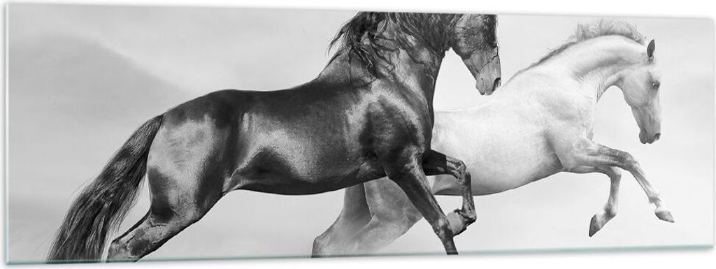 Bilder auf glas - Pferde Tiere Galopp Wiese - 160x50cm - Glasbilder - Wandbilder - Kunstdruck - zum Aufhängen bereit - Wanddekoration aus Glas - G...
