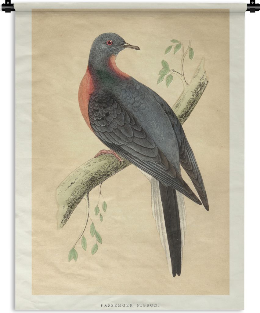 MuchoWow Wandteppich Wandbehang Antiker Vogel Druck Taube 150x200 cm Tapisserie Dekoration Wandtuch - Wandaufhängung - Moderner