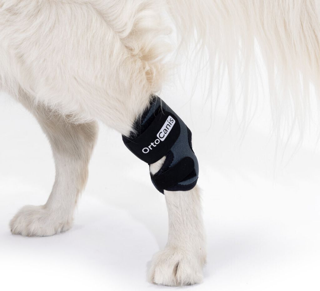 Sprunggelenkbandage für Hunde Ortocanis Gre XXS (7 - 9 cm)