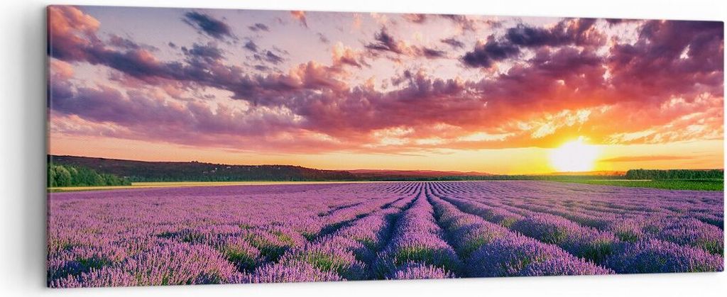 Bild auf Leinwand - Leinwandbild - Lavendel Berge Feld - 140x50cm - Wand Bild - Wanddeko - Leinwanddruck - Bilder - Kunstdruck - Wanddekoration - L...