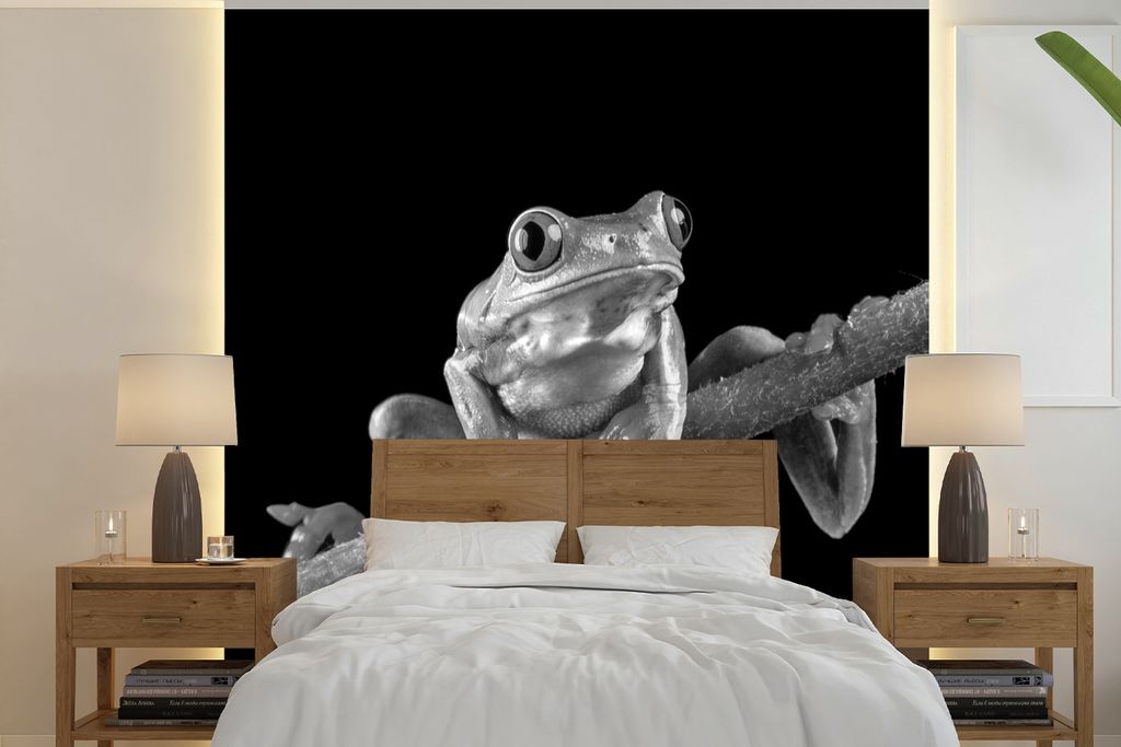 MuchoWow Fototapete für Wohnzimmer oder Schlafzimmer Wandtapete Vinyl Motivtapete Frosch - schwarz und weiß - 350x350 cm - Schlafzimmertapete