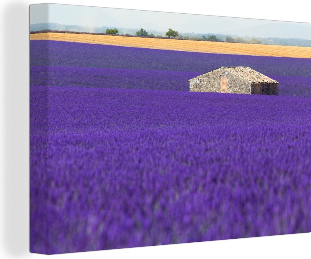 OneMillionCanvasses - Leinwandbilder - 150x100 cm, Großes Lavendelfeld mit einem kleinen Haus in der Mitte, Wandbilder Kunstdruck Wanddekoration
