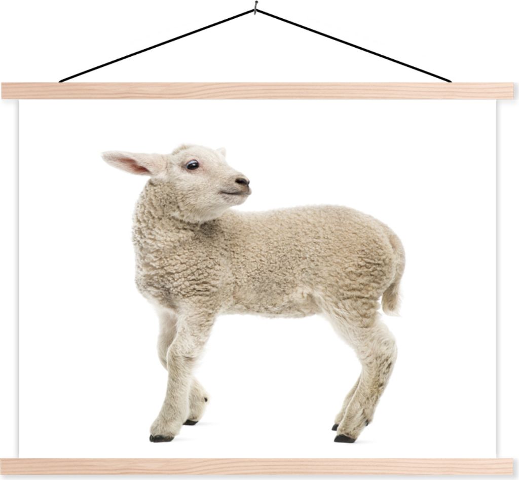 MuchoWow Textilposter Schaf - Wolle - Lamm 40x30 cm mit holzfarbenen Rahmen - Bilder