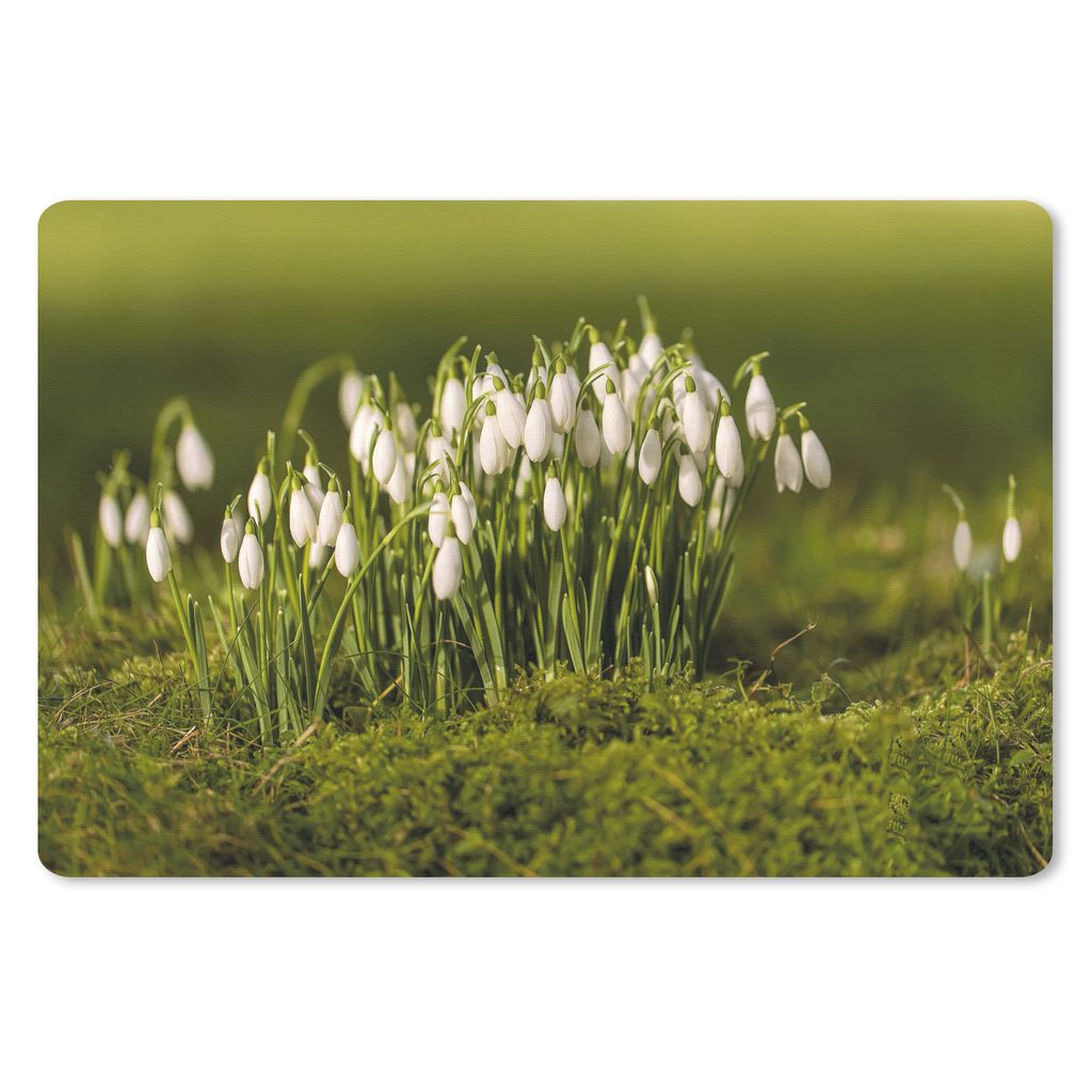 MuchoWow® Mauspad Mousepad Sträußchen von Schneeglöckchen Produktbild 