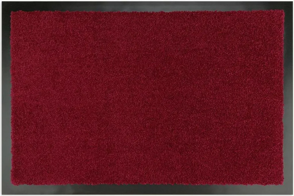 Tapis d'Entrée Rouge 50x70 cm Idéal pour Protéger vos Sols Intérieurs
