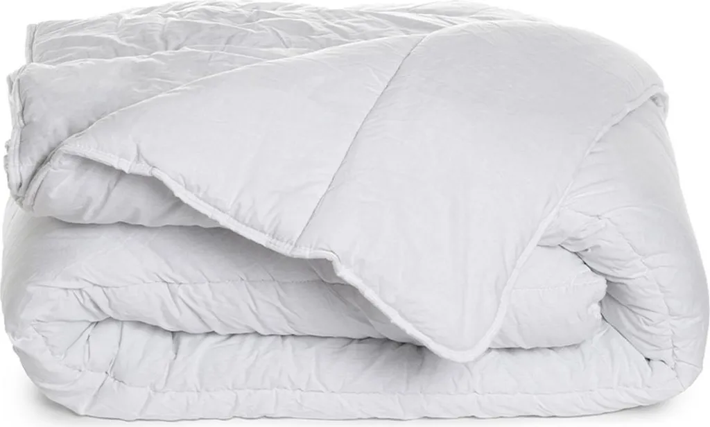 Dormez sans Punaises : Couette Chaude 240x260 cm Protection Active