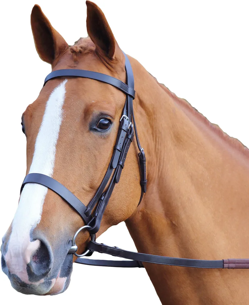 Bridon Aviemore ER690 XFull cuir noir pour chevaux à tête large