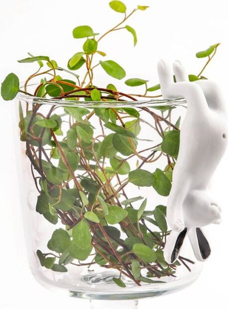 Porzellan Kletterhase "Schwarzohr" Produktbild 