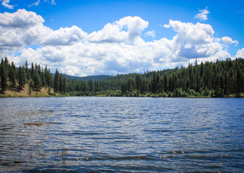 hansepuzzle 102146 - Seelandschaft Puzzle, 260 Teile, Natur, 41,0 x 28,0cm mit hochwertiger Aufbewahrung, Kartonbox und wiederverschließbarem Beutel