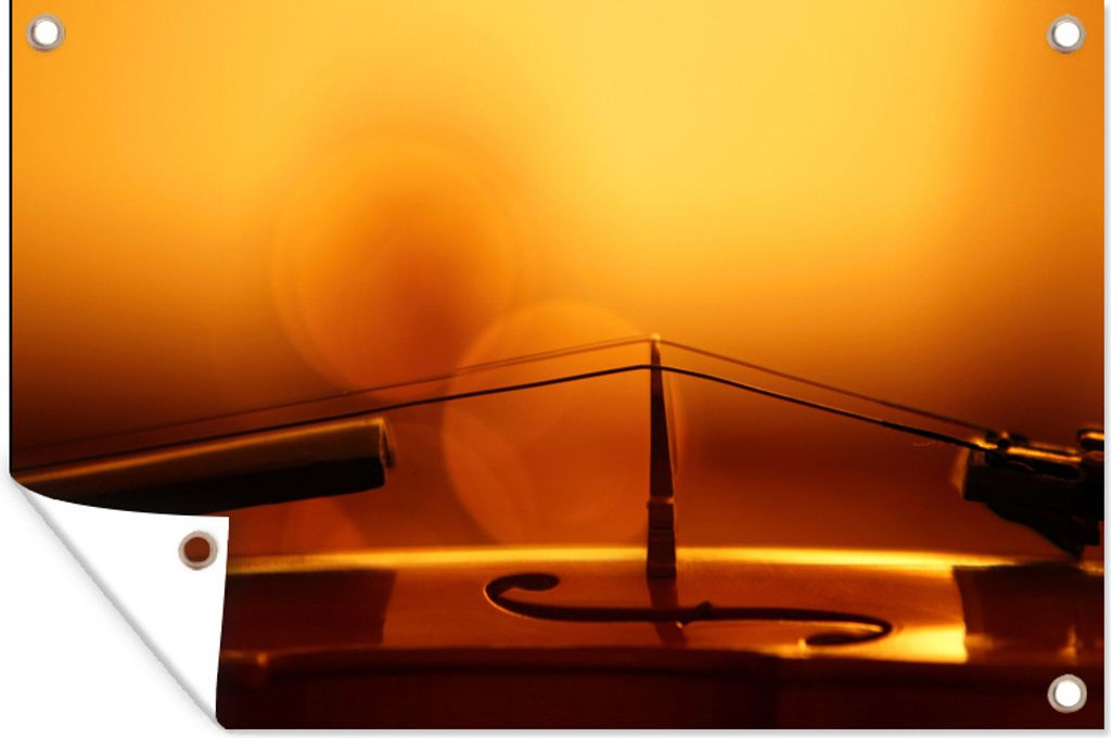 MuchoWow 60x40 cm Outdoor-Poster Gartendeko Sichtschutz Garten Poster für den Garten Eine Geige im orangefarbenen Licht