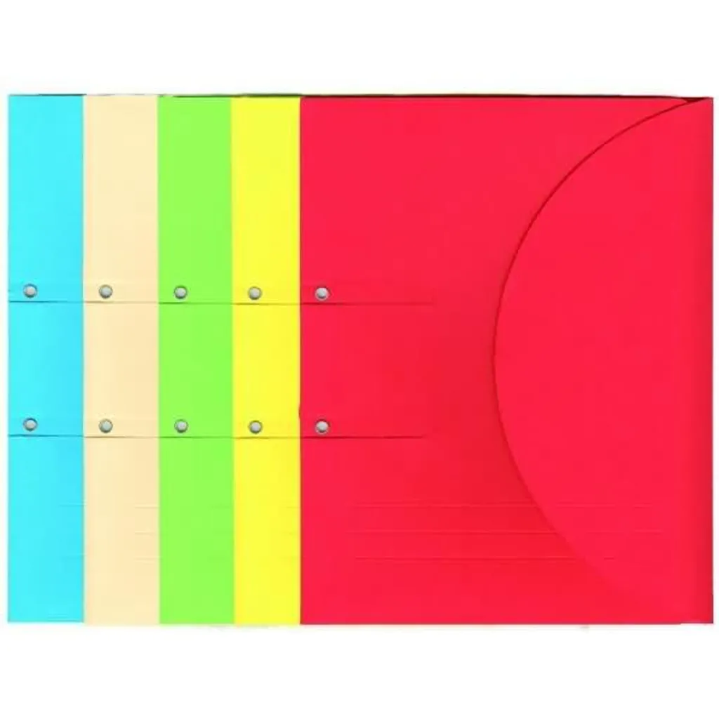 ELCO 29495 10 Classeur à oeillets Ordo Collecto A4 XL Carton Assorti