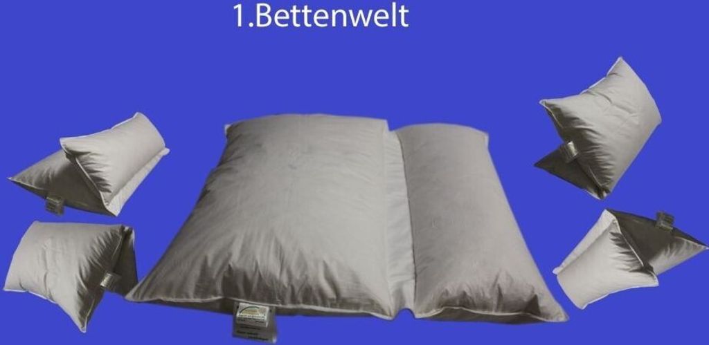 Betten Hofmann Premium Lesekissen Multifunktionskissen Kopfkissen Knickkissen 80x80 cm 30% Daunen