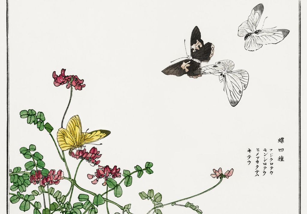 Plakat 66,5x46,5cm Schmetterlinge und Blumen Morimoto Toko Japanisch Vintage für das Wohnzimmer