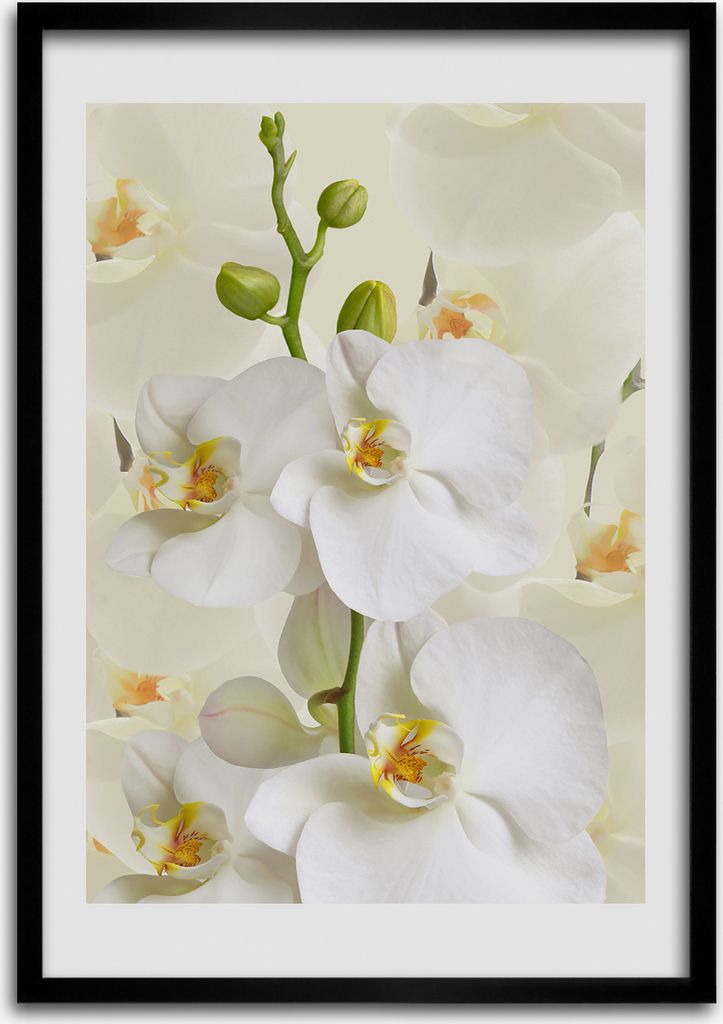 Bild - Bilderrahmen - Foto - 70 cm x 100 cm - MDF - Rahmen Produktbild 