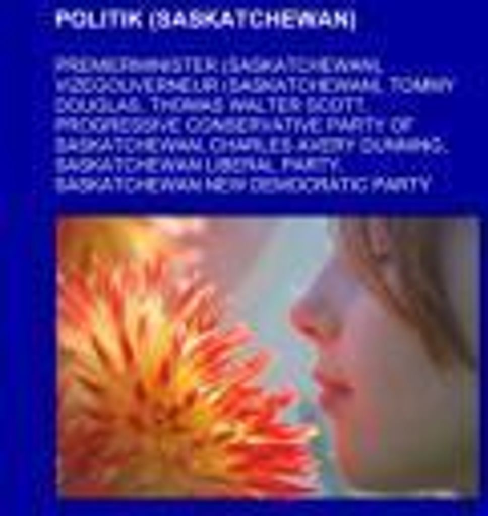 Politik (Saskatchewan)