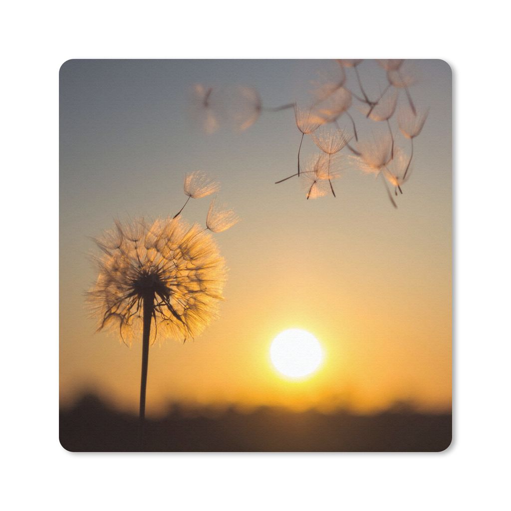 MuchoWow Mauspad Mousepad Löwenzahn - Sonne - Sonnenuntergang 30x30 cm - Mousepads - Maus Mat - Pad - Mausunterlage - Gaming