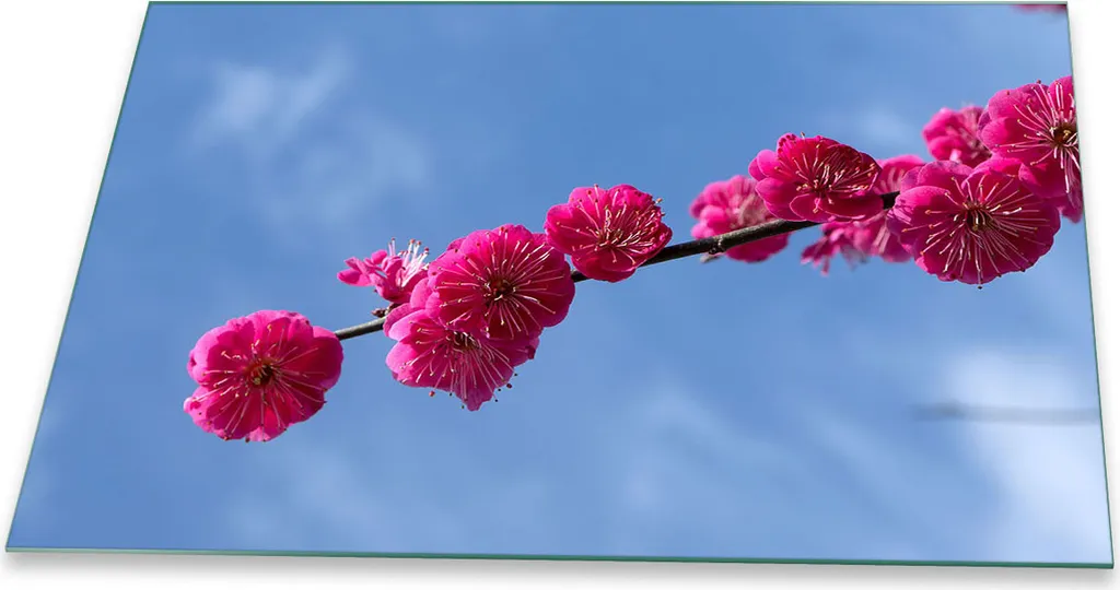 Piastra di copertura per piano cottura in ceramica 1 pezzo 80x52 fiori rosa copertura alzatina in vetro