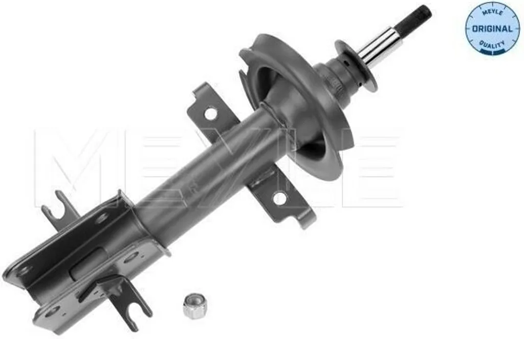 Amortisseur de suspension avant pour rénover votre Laguna II ou Golf 3