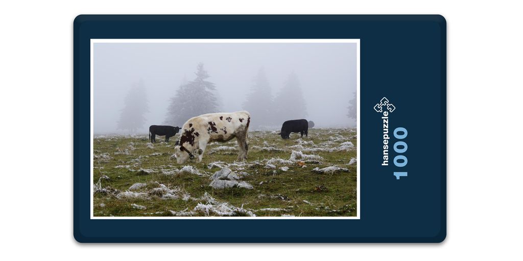 hansepuzzle 11947 - Kühe im Nebel Puzzle, 1000 Teile, Tierwelt, 60,0 x 46,0cm mit hochwertiger Aufbewahrung, Kartonbox & Beutel