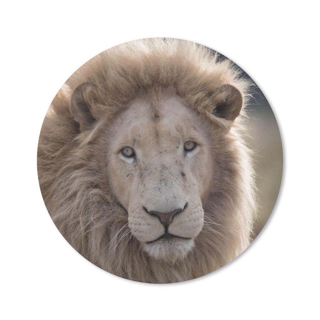 MuchoWow Mauspad Mousepad Löwe - Tier - Weiß 40x40 cm - Mousepads - Maus Mat - Pad - Mausunterlage - Schreibtisch Accessoires