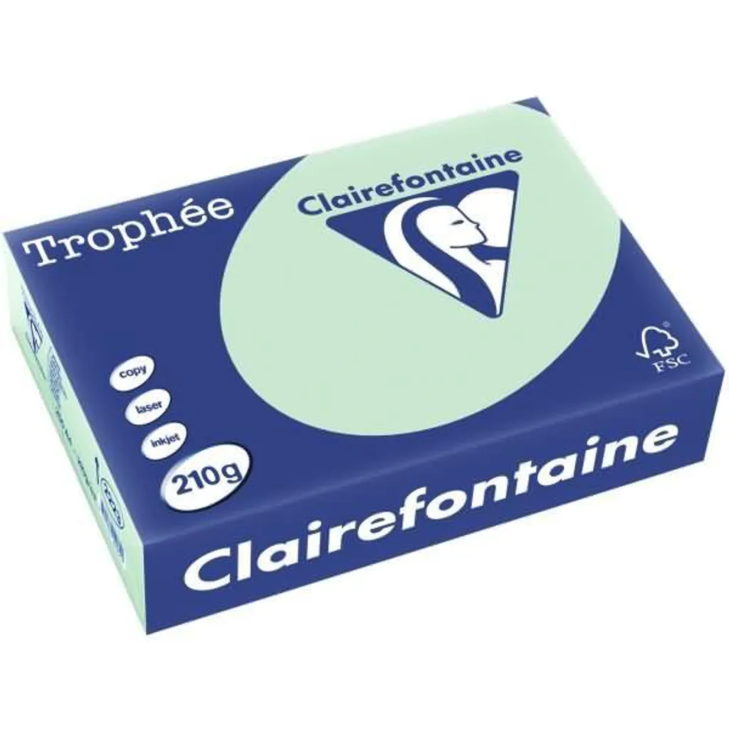 Carta Creativa Verde Chiaro Clairefontaine Trophée A4 - 80g Artistica