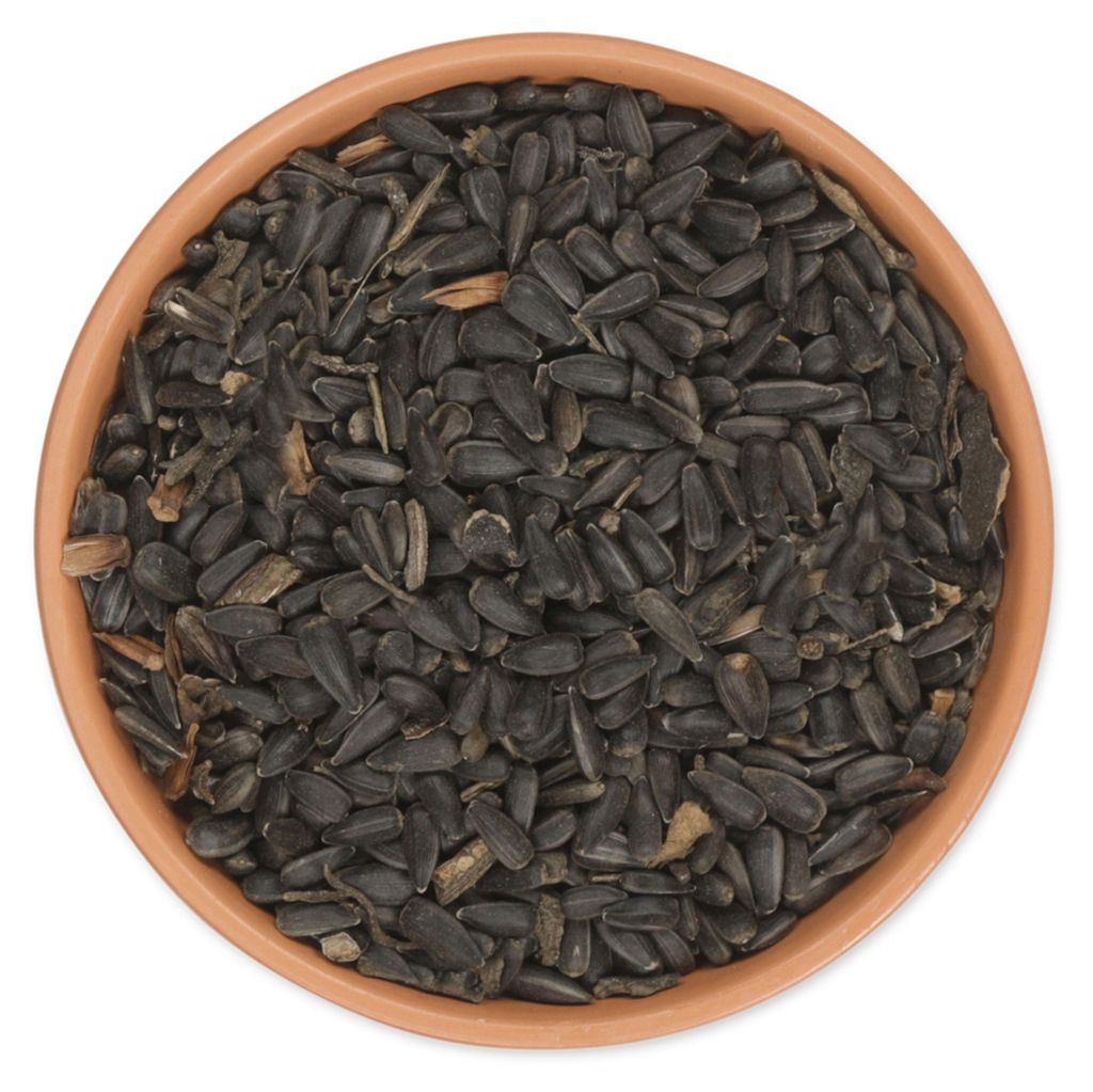 CJ Wildlife Sonnenblumenkerne Schwarz - Vogelfutter Wildvögel ganzjährig - 2,5 kg - ohne Pestizide, energiereich (Rohfett 29%)
